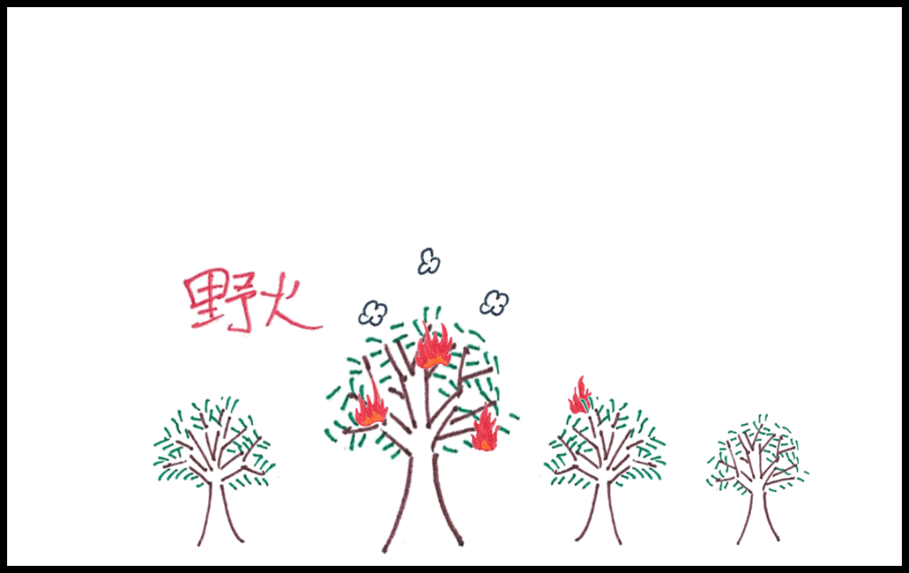 火積雲形成之前,地表出現火災等熱源加熱大氣,並使空氣塊上升。