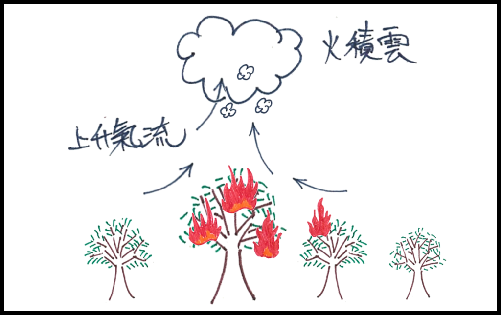 空氣塊上升形成積雲,同時地表周圍的空氣會被吸入火災中央,加劇當地的燃燒狀況。